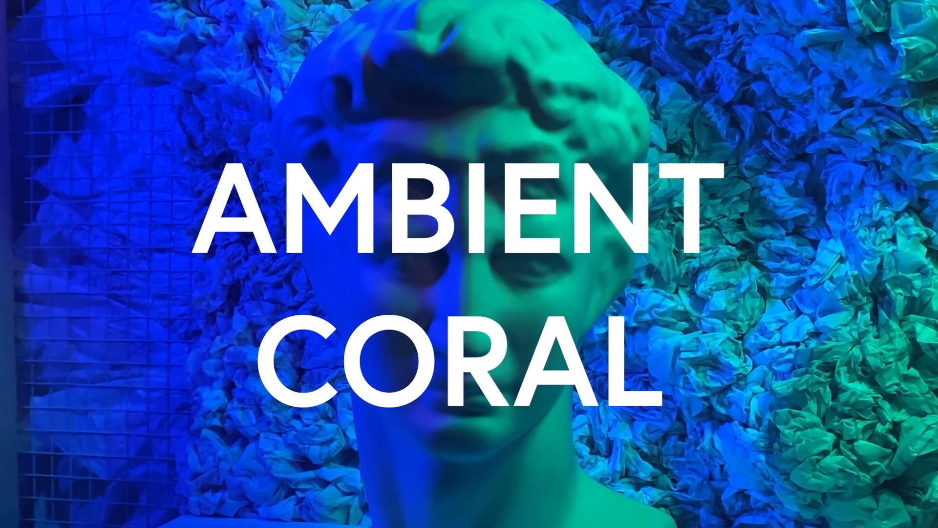 Ambient coral.