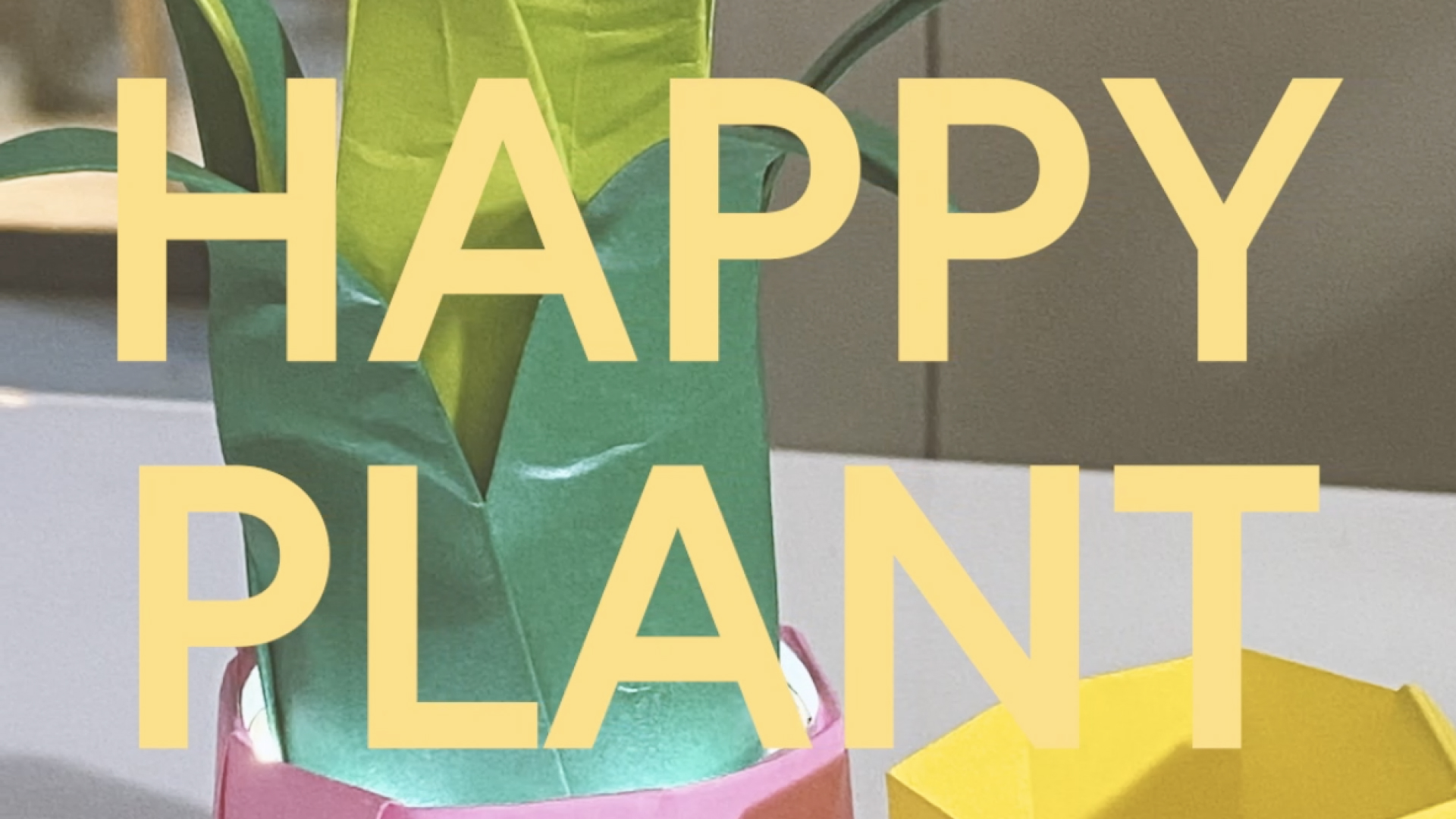 Happy plant.
